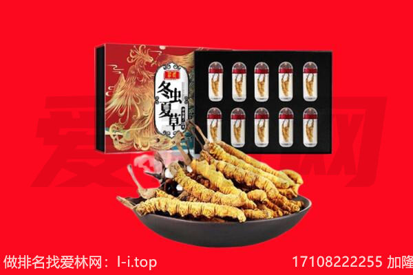 台北回收虫草.jpg